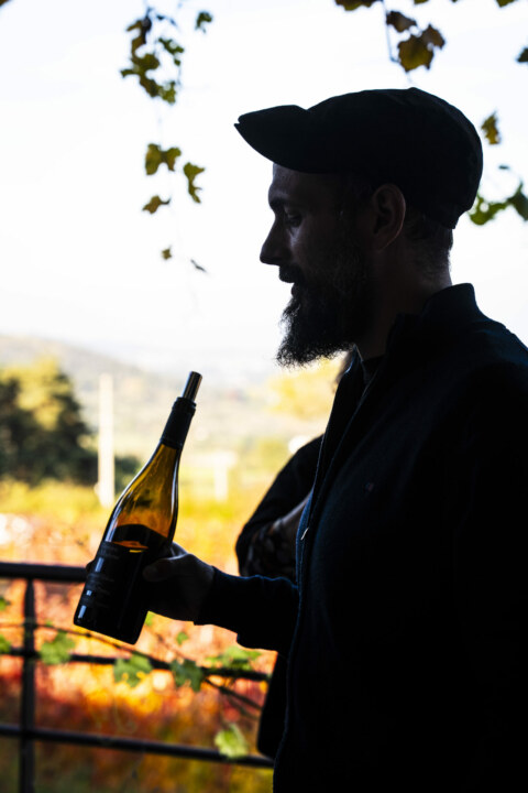 Image Not Found On Media Library