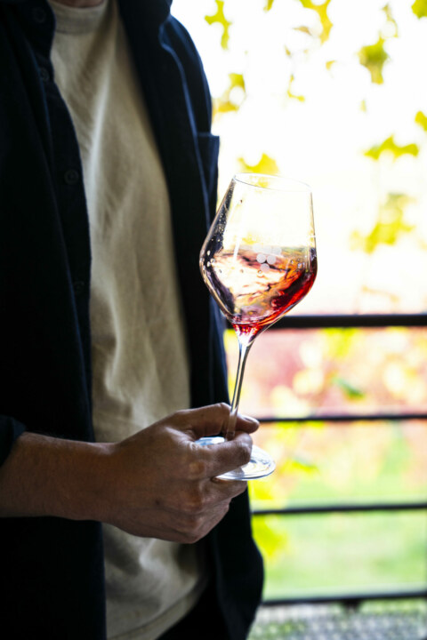 Image Not Found On Media Library