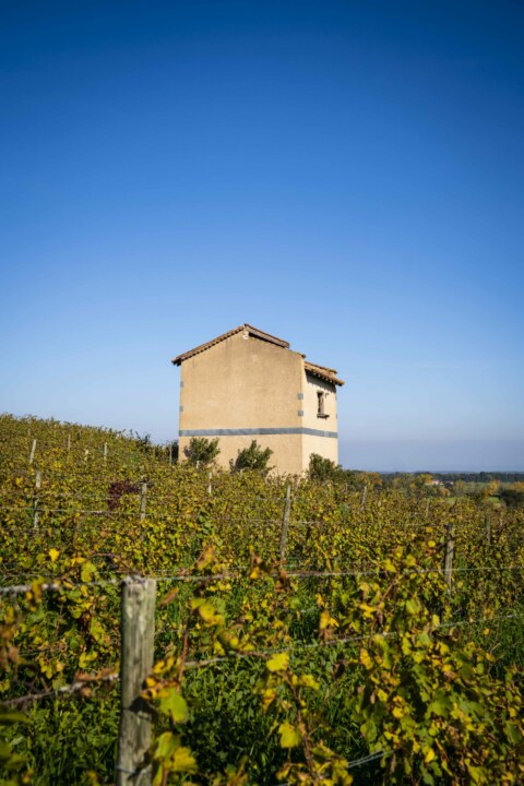 Image Not Found On Media Library