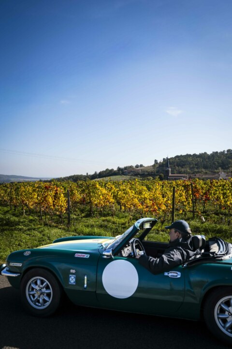 Image Not Found On Media Library