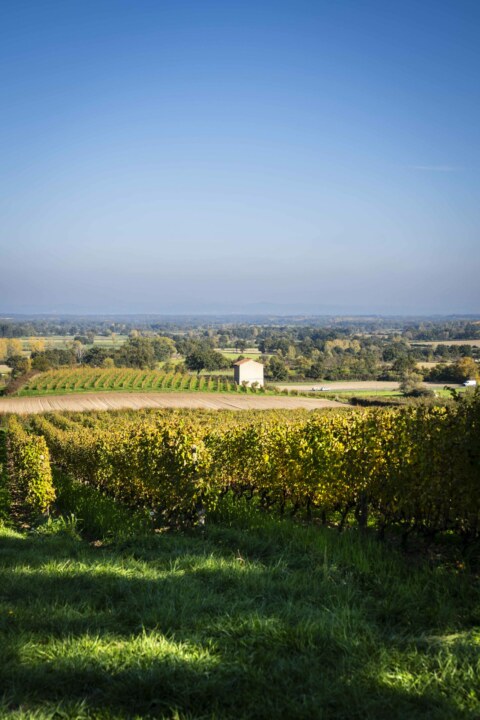 Image Not Found On Media Library